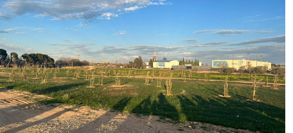 Conama Local Zaragoza 2023 hace una llamada a la colaboración institucional, ciudadana y público-privada para acelerar la transformación de las ciudades